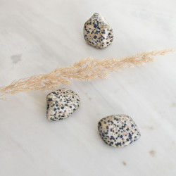 Pocket Stone - DALMATIER JASPIS